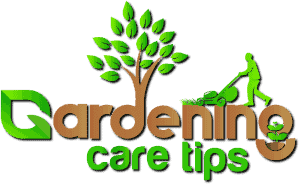 Gardening Care Tips