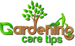 Gardening Care Tips