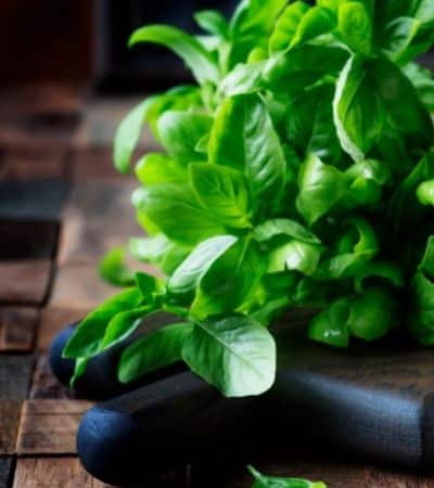 basil stems