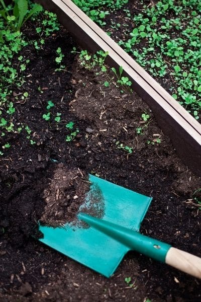 compost
