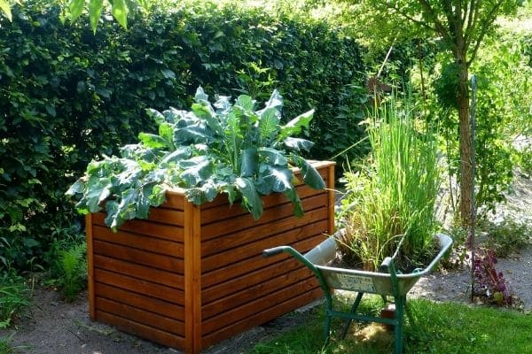 raised-bed-garden