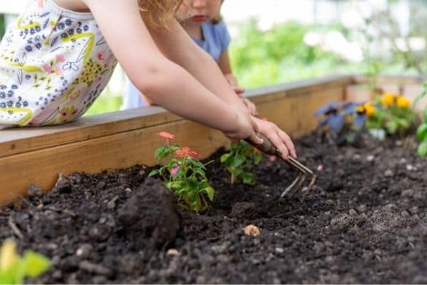 raised based gardening