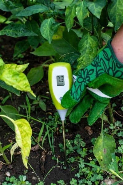 soil moisture