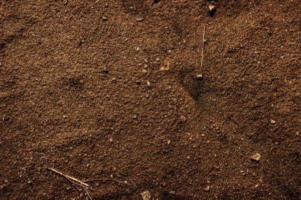 Best Soils to Grow Vegetables in Pot 2 Clay Soil