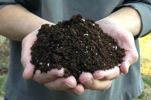 Best Soils to Grow Vegetables in Pot 7 Homemade Potting Mix